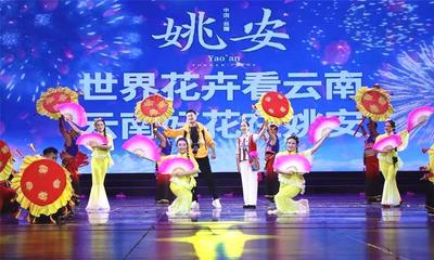 姚安縣:“四措并舉”推進非遺傳承保護工作