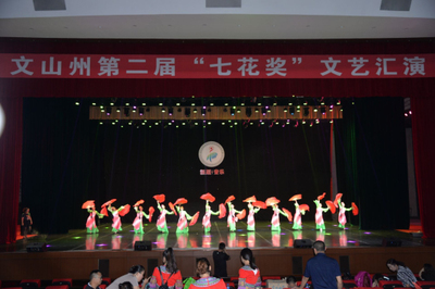 文山州第二屆“七花獎(jiǎng)”文藝匯演在硯山縣舉行