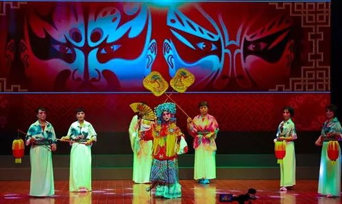 市民的培訓 市民的舞臺 市民的展演 你錯過的可能只是場演出,了解我們還會有更多的驚喜