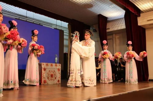 直播回看 多圖 法國潮州會館舉辦 中國昆曲藝術歐洲巡演 活動受追捧