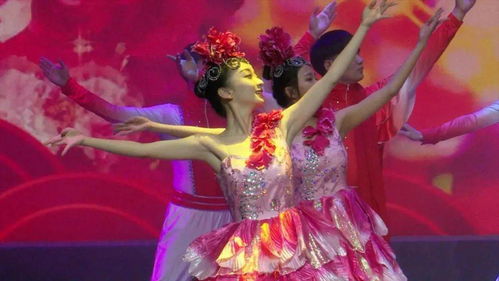 唐山市群眾原創(chuàng)文藝作品系列展演曹妃甸區(qū)專場精彩上演