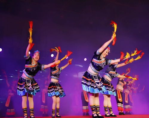 火炬區(qū)這場(chǎng)大賽首次采用app直播,吸引過2萬人關(guān)注 他們是在
