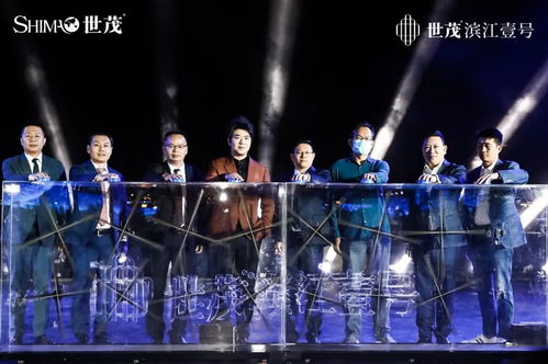 震撼 360架無人機點亮肇慶夜空 郎朗現場演奏 只為迎接它的到來